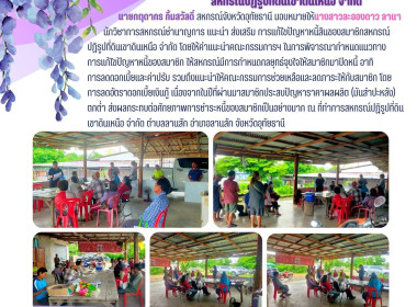 แนะนำ ส่งเสริม ... พารามิเตอร์รูปภาพ 1